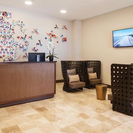 The Westin Los Cabos Resort Villas - Baja Point Эль-Бедито Экстерьер фото